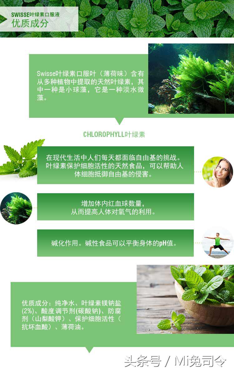 除了不好喝，其他都很棒——Swisse叶绿素液