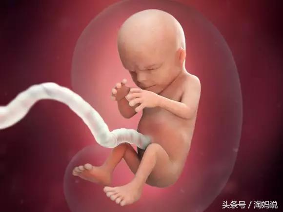 胎儿发育40周全过程注意事项,赞宝宝训练抬头的句子