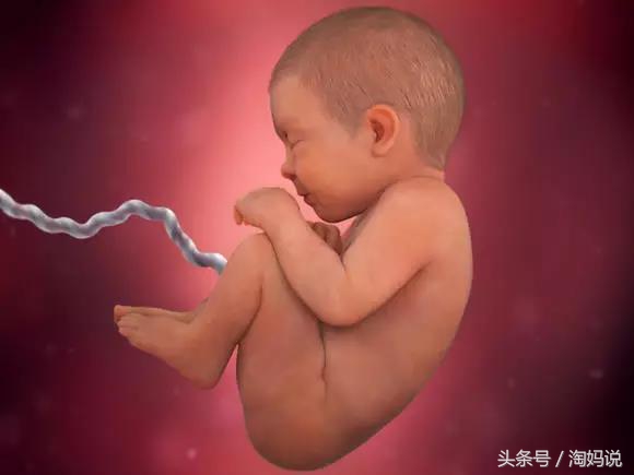胎儿发育40周全过程注意事项,赞宝宝训练抬头的句子