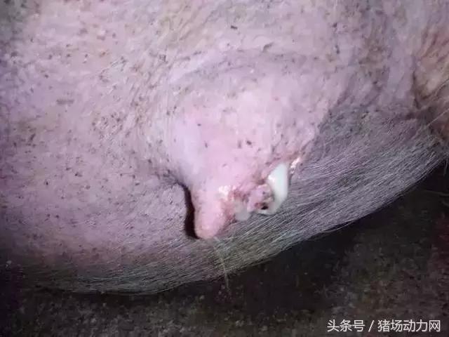 孕妇缩宫素的正确使用方法,使用缩宫素过程中的注意事项