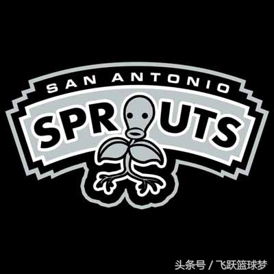 宠物小精灵英文对照表,nba宠物小精灵