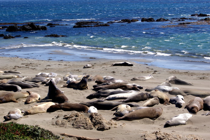 大色尔，加州绝美一号公路最精华