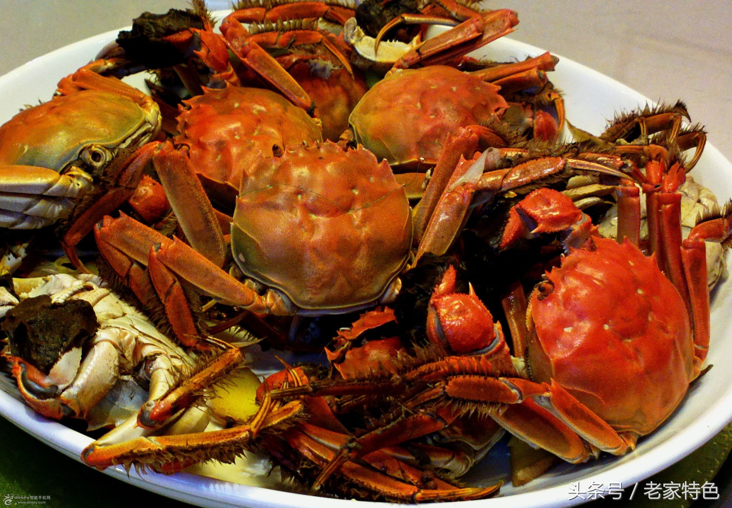 吃蟹要讲究如何做出美味的大闸蟹,原来这才是大闸蟹的正确吃法
