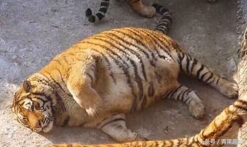 化解尴尬的最好方式,制造点尴尬也能化解尴尬