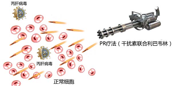丙肝看哪几个指标,丙肝看抗体还是抗原