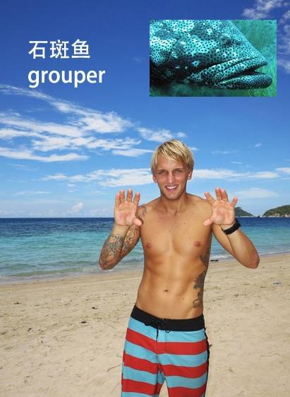 各种鱼的手势,海鱼表示动作词语