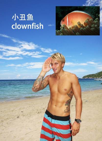 各种鱼的手势,海鱼表示动作词语