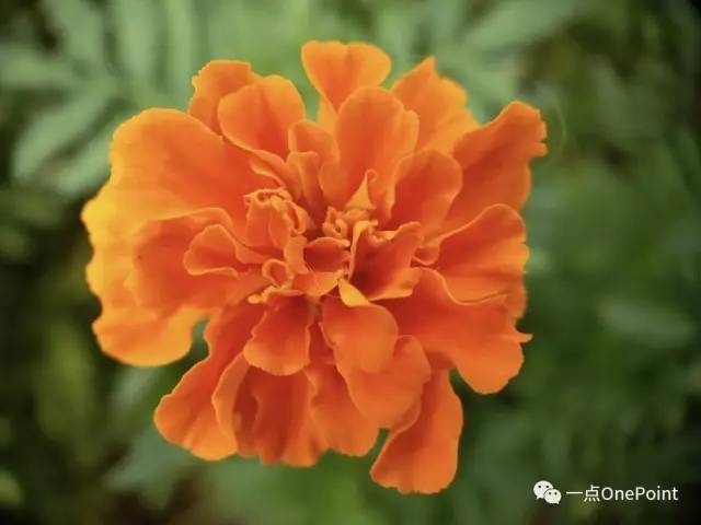 手机附加镜使用,你真的会用iphone辅助功能吗