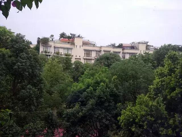 成都府河音乐花园四居,成都府河音乐花园值得买吗