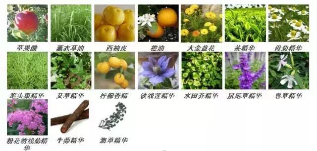 日本热销药妆,日本爆款药妆店