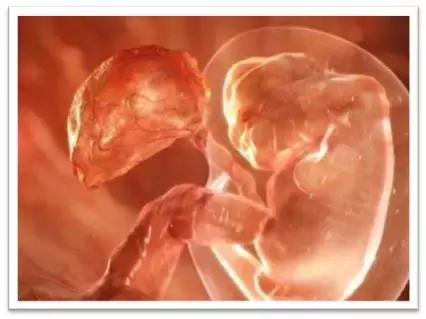 分娩的6大信号你知道吗?