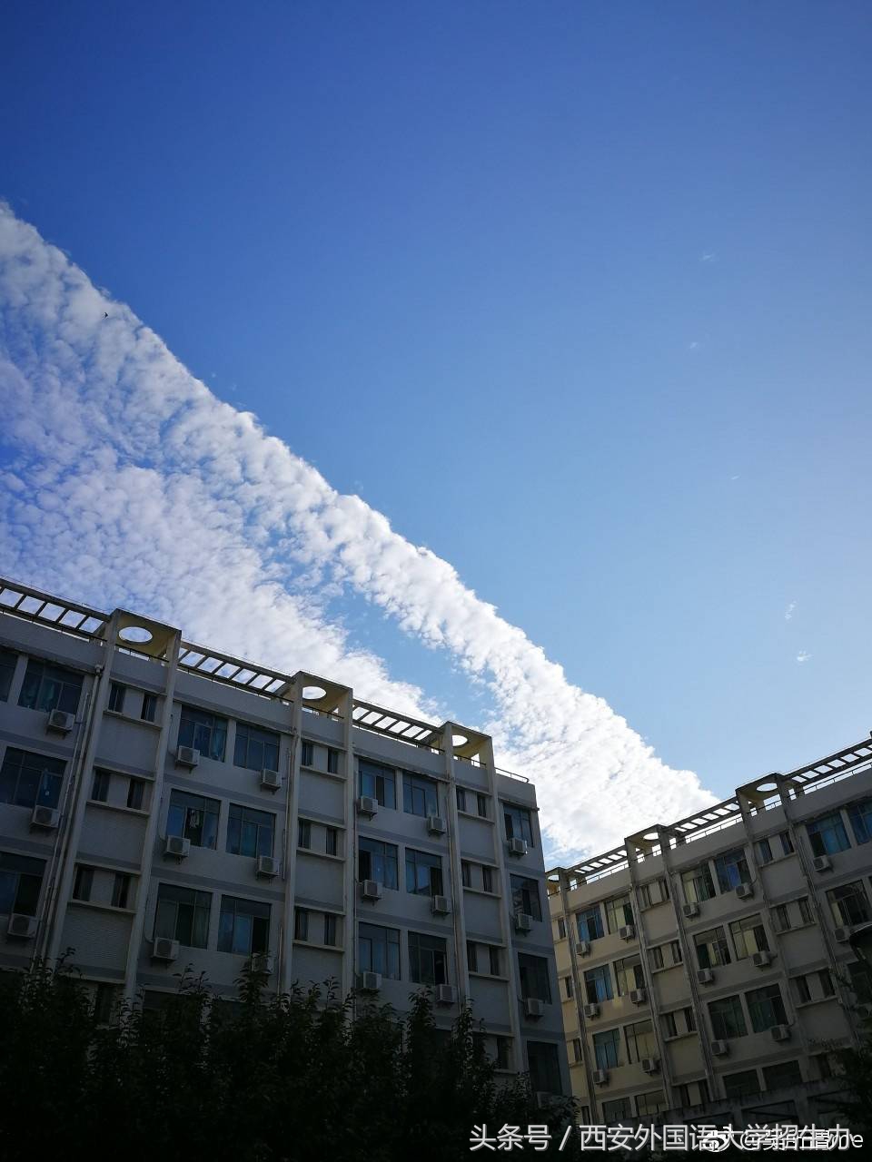 大学迎新招数又升级：宿舍空调、WIFI覆盖、美食