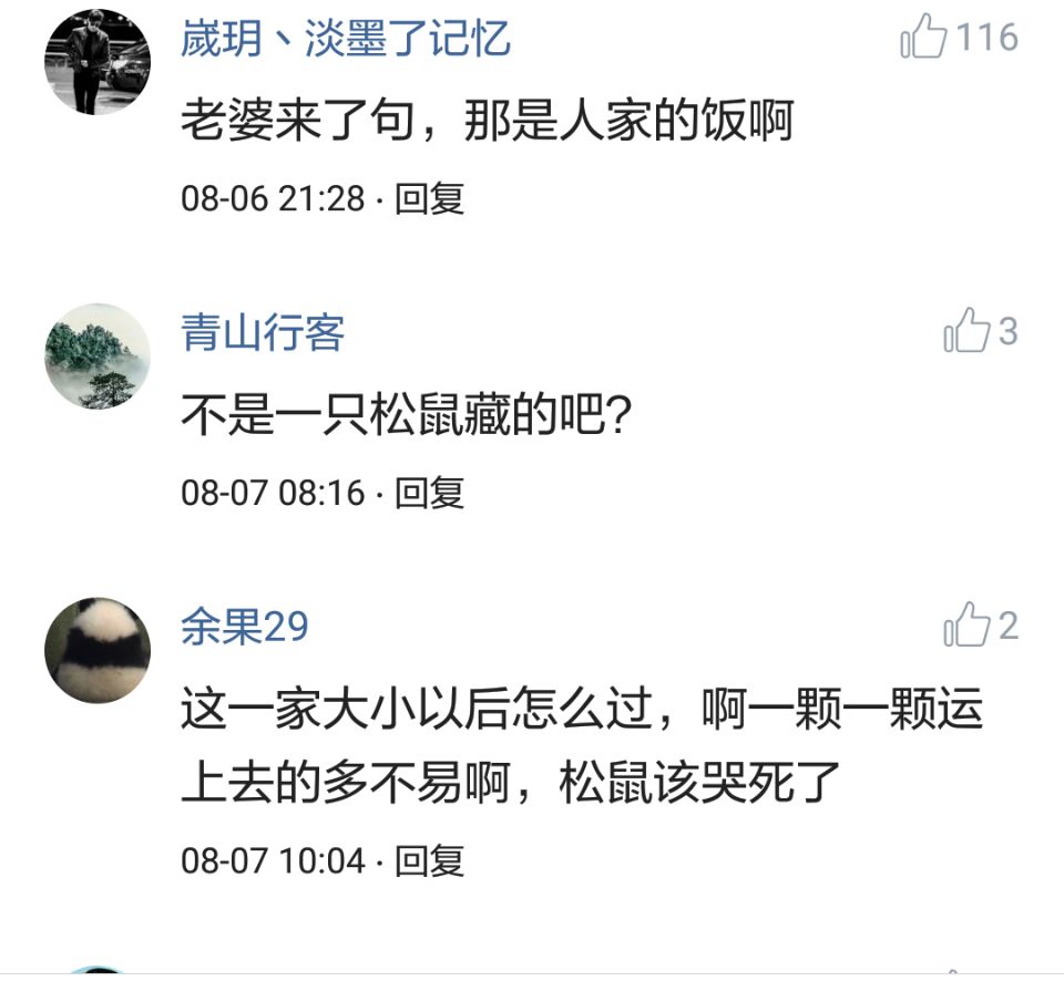 那些搞笑的评论之一松鼠说，那是我娶十房姨太的钱