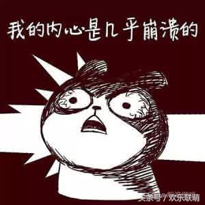 泰迪脑子,泰迪脑子有多大