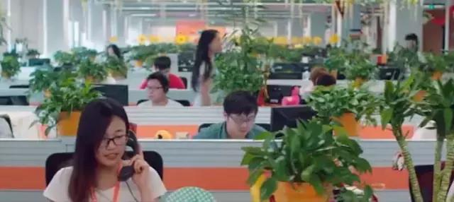 我市电子商务产业高质量发展,电子商务服务业保持稳步增长态势