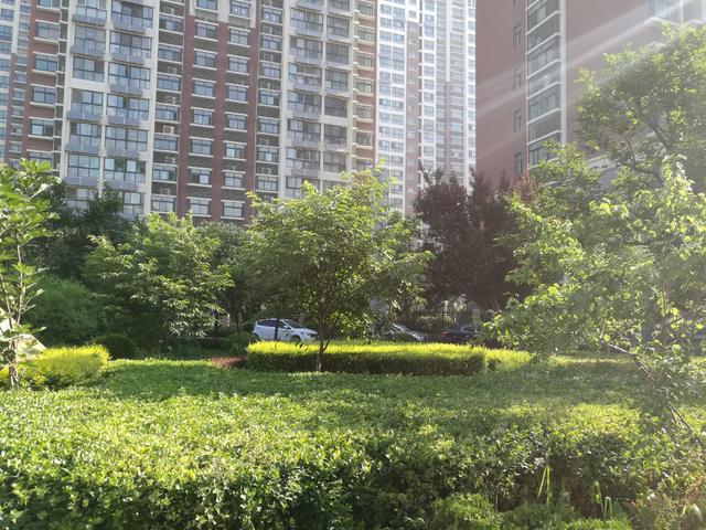 潍坊市圣基福安家园电梯,潍坊福安家园圣基铭座六楼价格