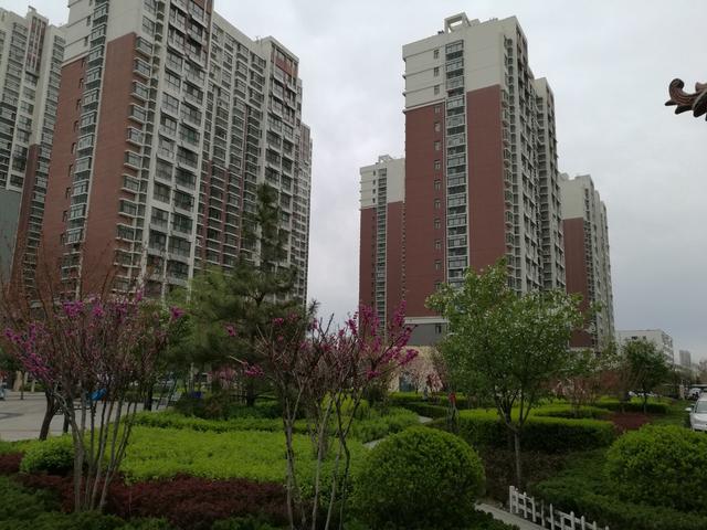 潍坊市圣基福安家园电梯,潍坊福安家园圣基铭座六楼价格