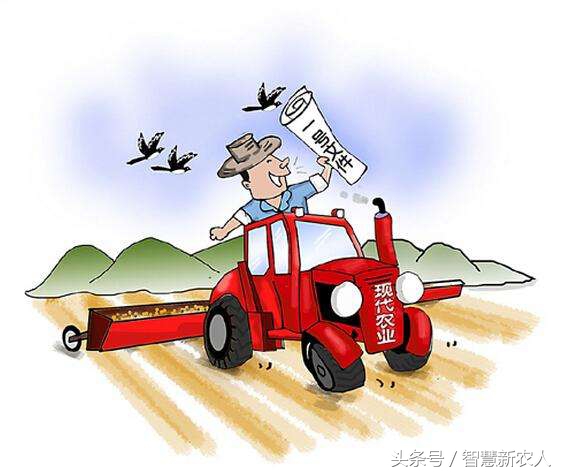 在农村创业赚钱好项目有哪些,在农村创业做什么好赚钱