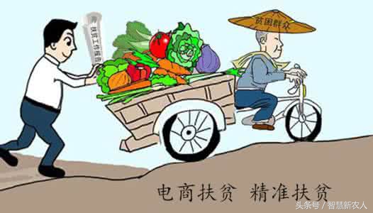 在农村创业赚钱好项目有哪些,在农村创业做什么好赚钱