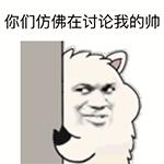 秘鲁神兽来袭，能给你的绝不只是表情包