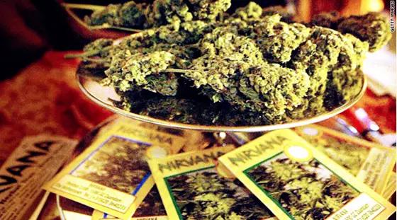 荷兰现在能不能去,什么时候不能去荷兰