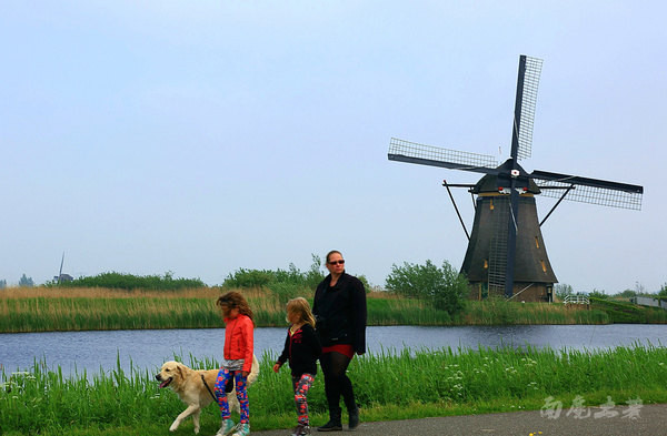 荷兰现在能不能去,什么时候不能去荷兰