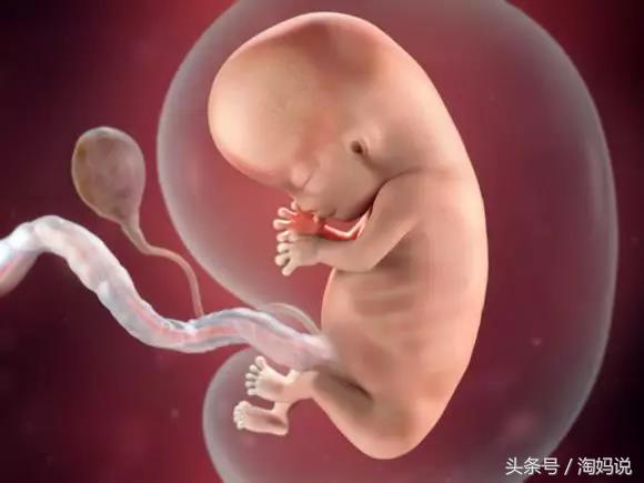 胎儿发育40周全过程注意事项,赞宝宝训练抬头的句子