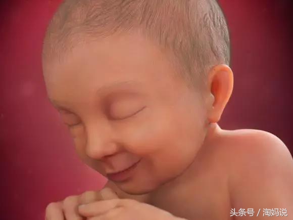 胎儿发育40周全过程注意事项,赞宝宝训练抬头的句子