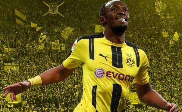 每天了解一个明星,每天了解一位球员