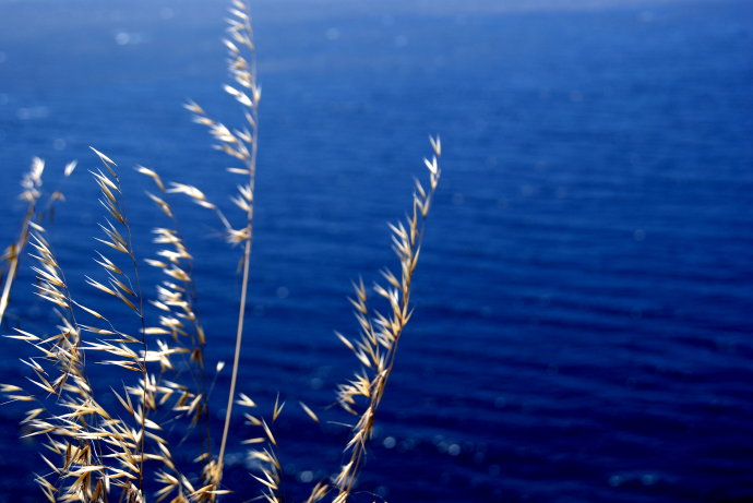 大色尔，加州绝美一号公路最精华