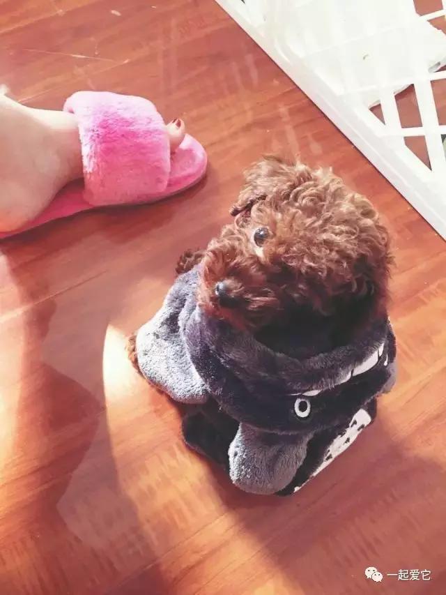 宠爱小故事大全,宠爱故事免费阅读