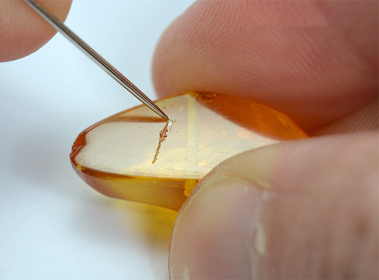 琥珀蜜蜡怎么鉴定真假图片视频,波罗的海蜜蜡手串真假鉴别