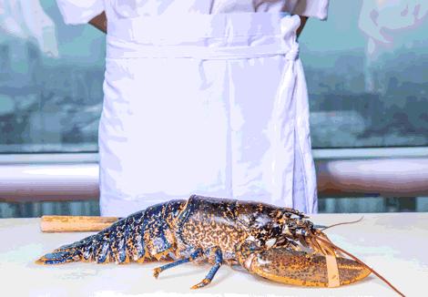 珍稀鱼子酱,波龙鱼子酱