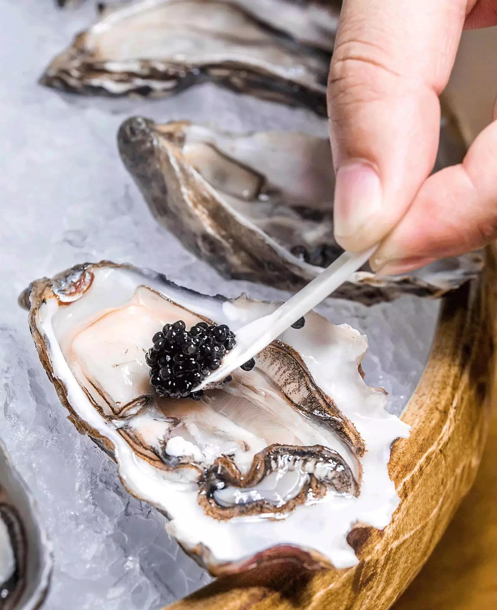 珍稀鱼子酱,波龙鱼子酱