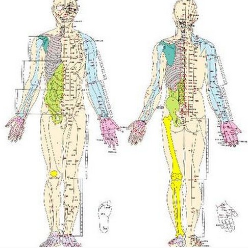 腰疼扯着屁股疼是怎么回事,腰疼扯着腿疼能自愈吗
