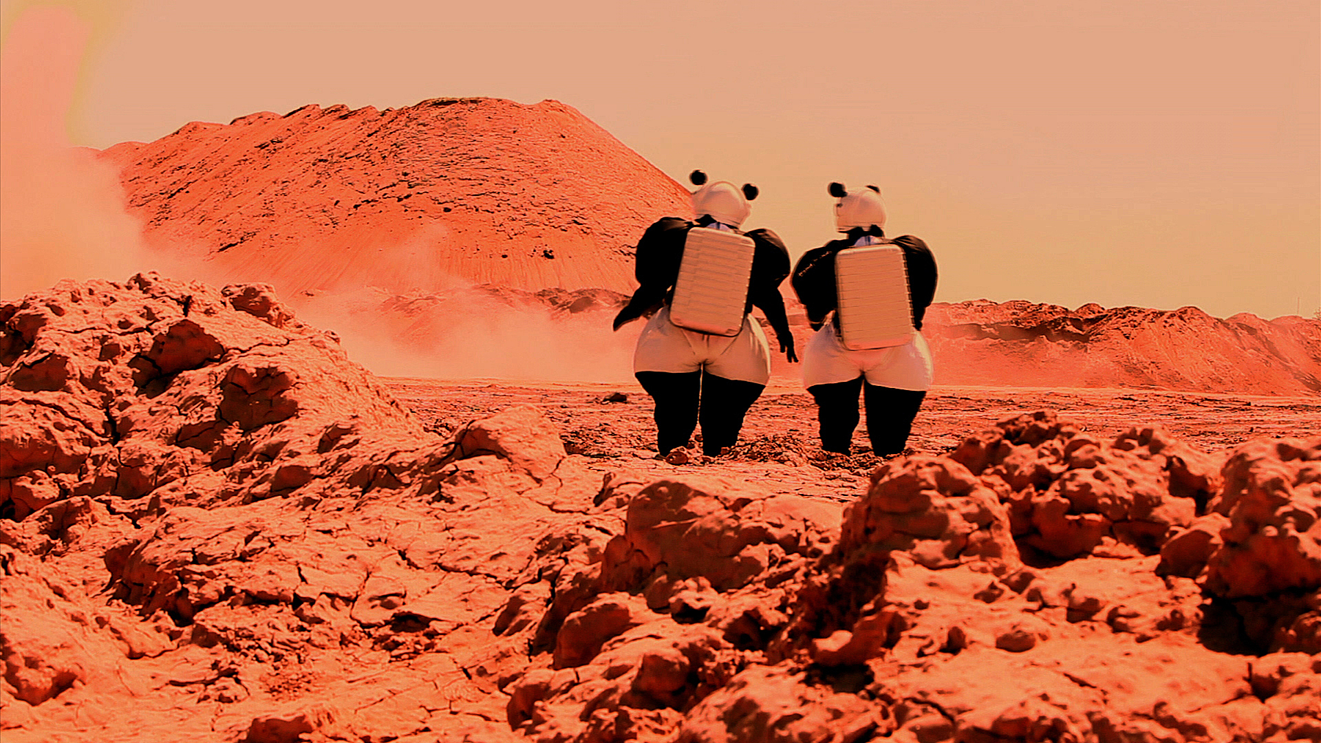 民工、*陪三**小姐、乞丐、同性恋……这些形象,他都用熊猫时装诠释