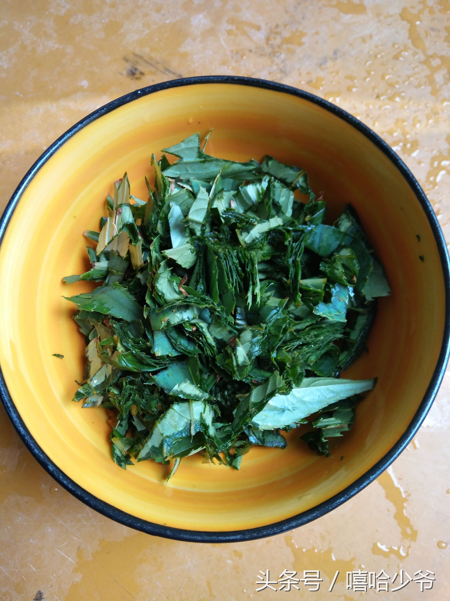 农村纯天然指甲草,神奇的指甲草有几种