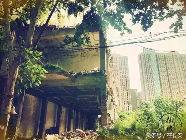 西安三桥以前的样子,西安三桥人