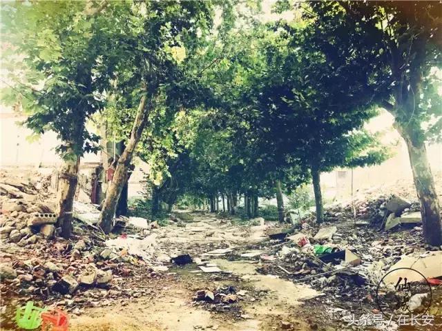 西安三桥以前的样子,西安三桥人