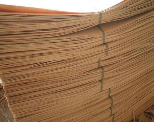 桉木单板和杨木单板区别,杨木品种和木质介绍