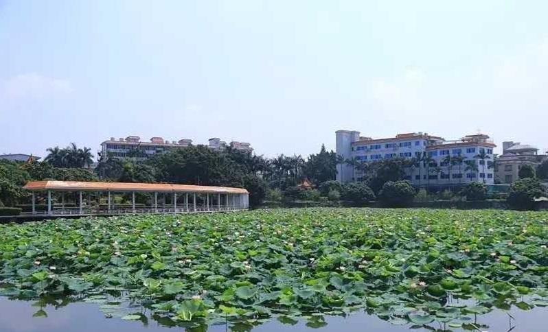 东莞市最美医生,最美医生广东东莞