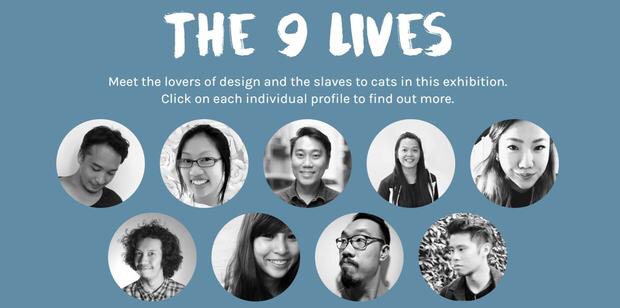 猫咪可以玩的抓宠小游戏,作为猫奴