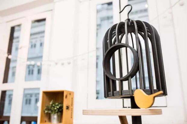 猫咪可以玩的抓宠小游戏,作为猫奴