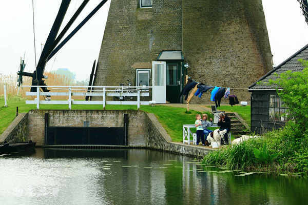 荷兰现在能不能去,什么时候不能去荷兰