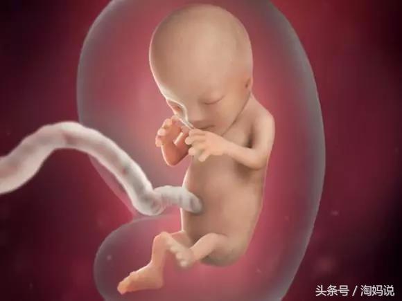 胎儿发育40周全过程注意事项,赞宝宝训练抬头的句子