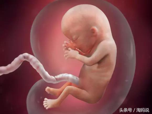 胎儿发育40周全过程注意事项,赞宝宝训练抬头的句子