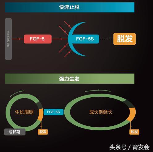 全世界治疗脱发的新发明,世界脱发最新治疗技术