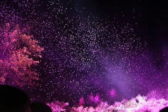 陶渊明桃花源记中的桃源,陶渊明诗中桃花源实景图片