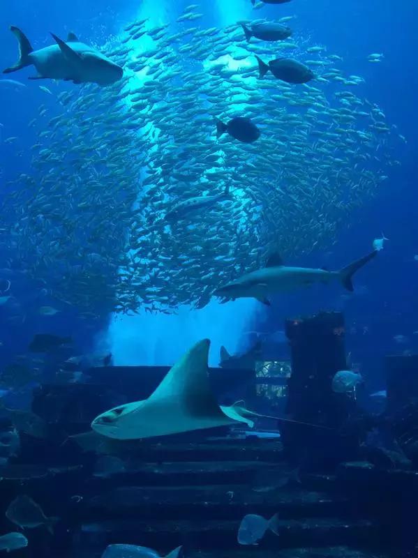 为什么欧洲人喜欢去地中海旅游,为什么欧洲人喜欢去希腊度假