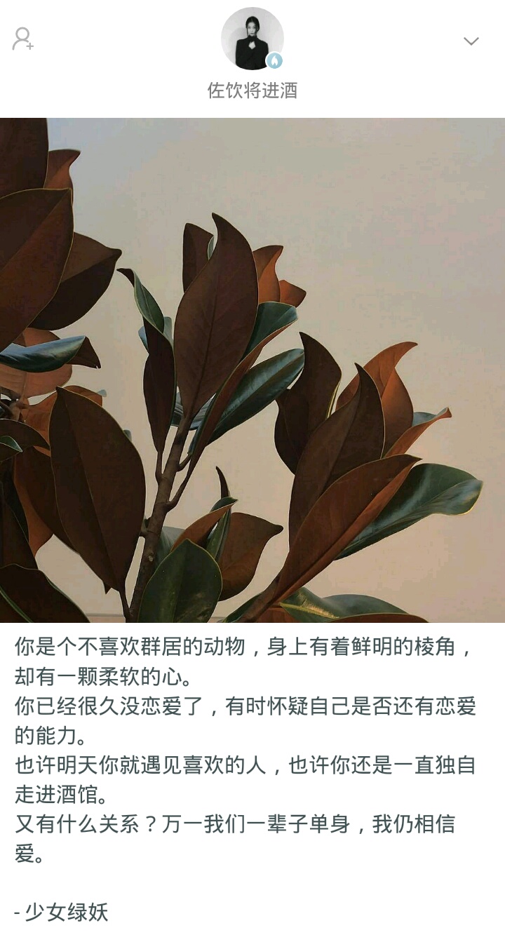 如果一辈子单身会怎样,一辈子单身一个人该怎么过